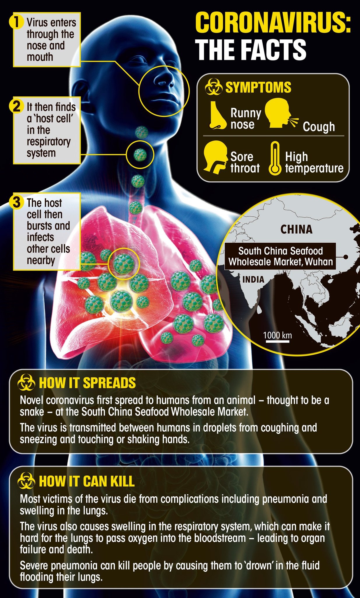 Wuhan Corona Virus Health Impact